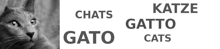 GATO