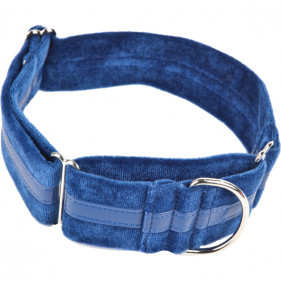 Collar galgo Ascott