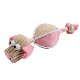 Peluche